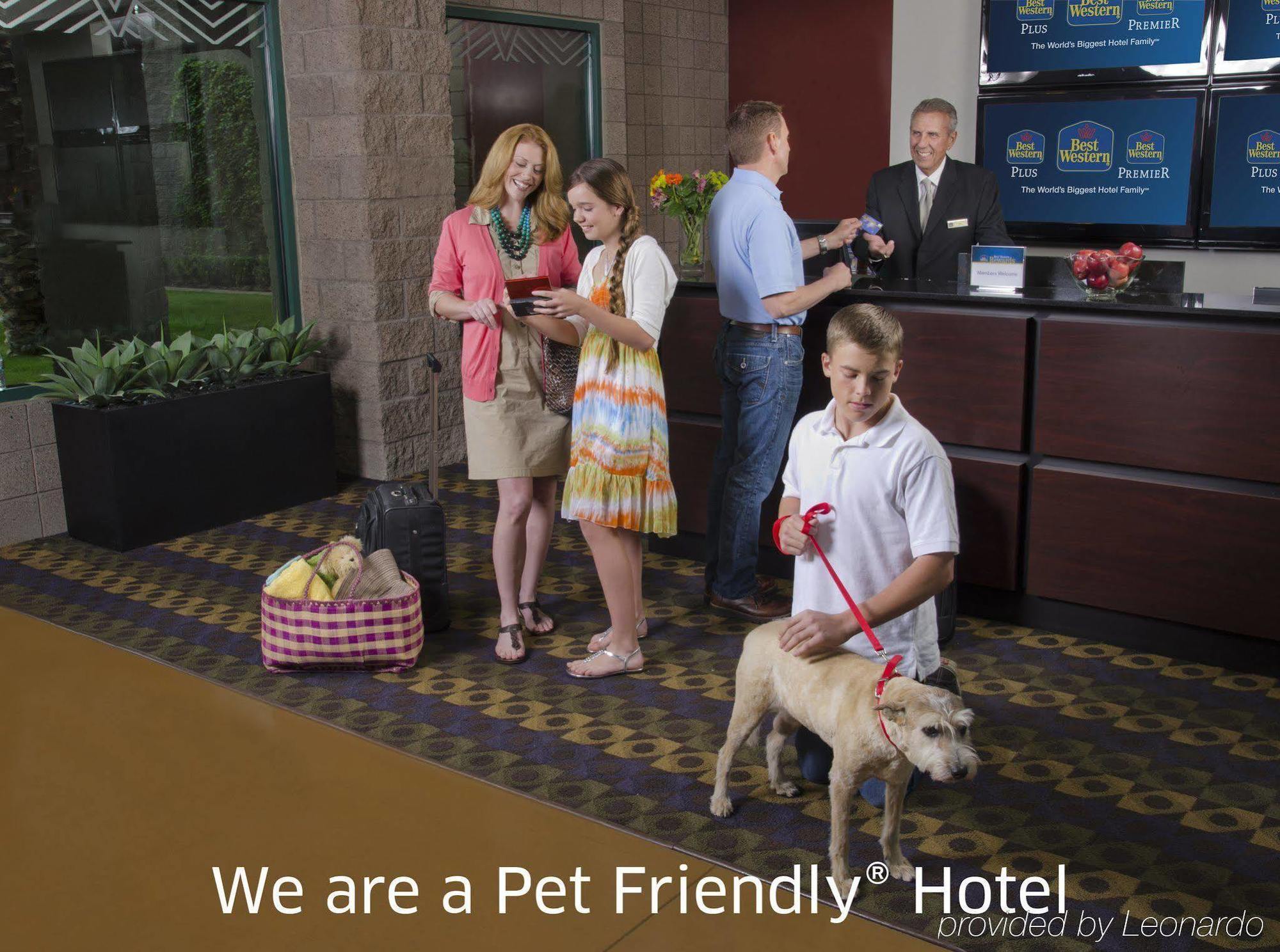 Best Western Socorro Hotel & Suites Экстерьер фото